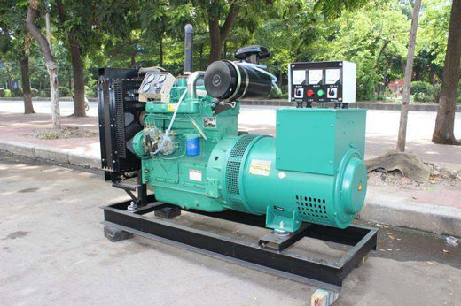 椰林镇发电机不发电的原因